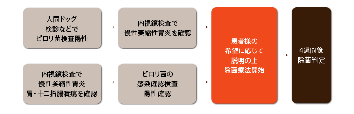 除菌療法の主な流れ